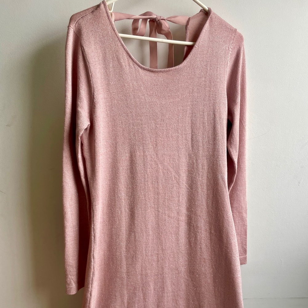 Allison Brittney rose gold long sleeve dress nwt